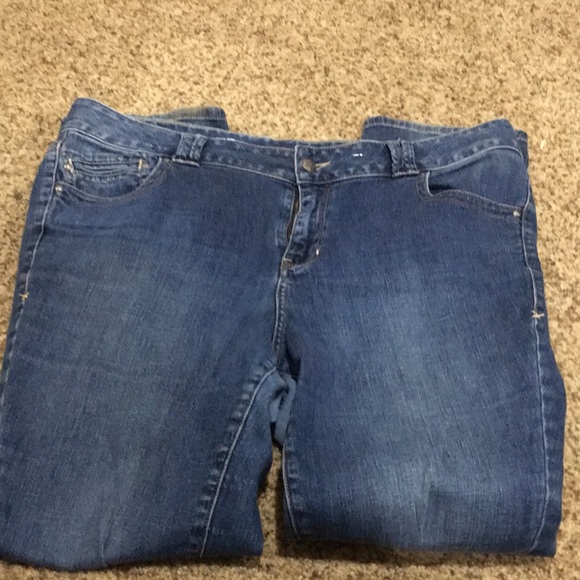 Lane Bryant Denim - Free Lane Bryant jeans